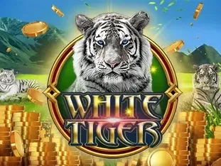 White Tiger thumbnail